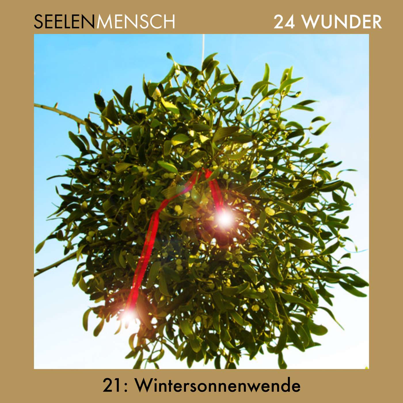 #061 21. Dezember - Wintersonnenwende - Der Tag, an dem das Licht geboren wird