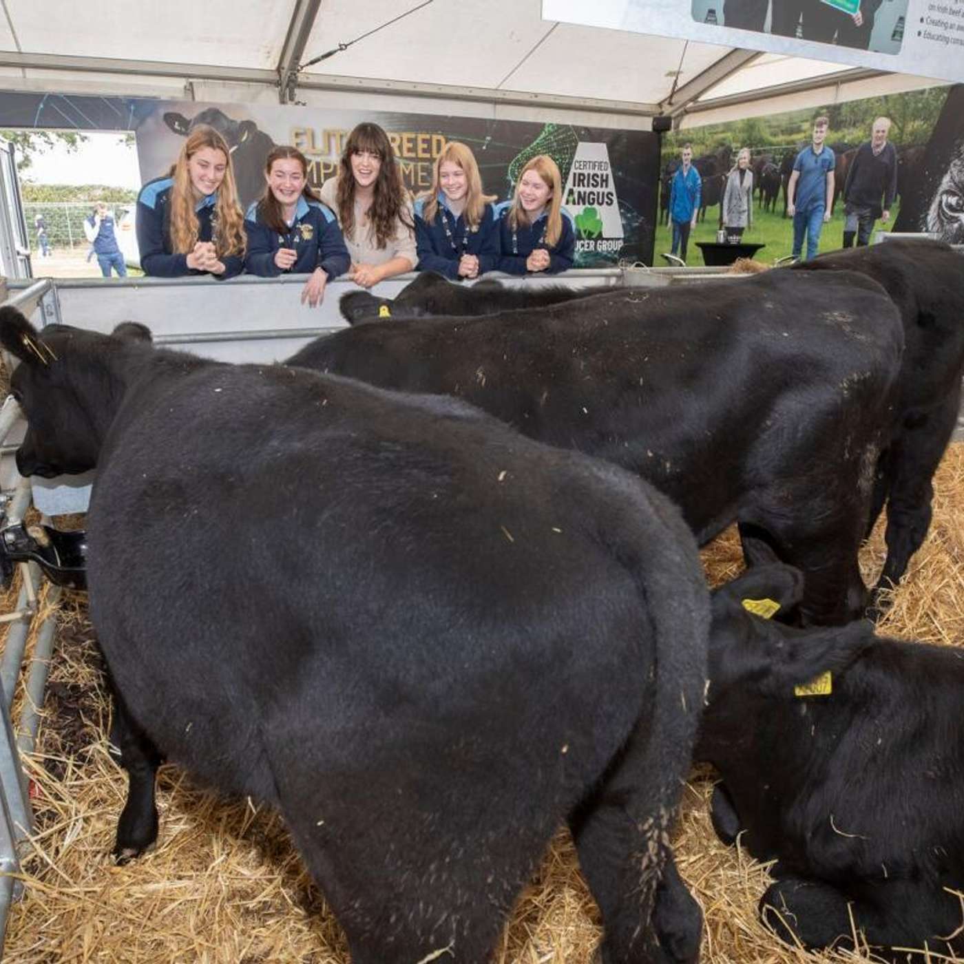 The Environment Edge