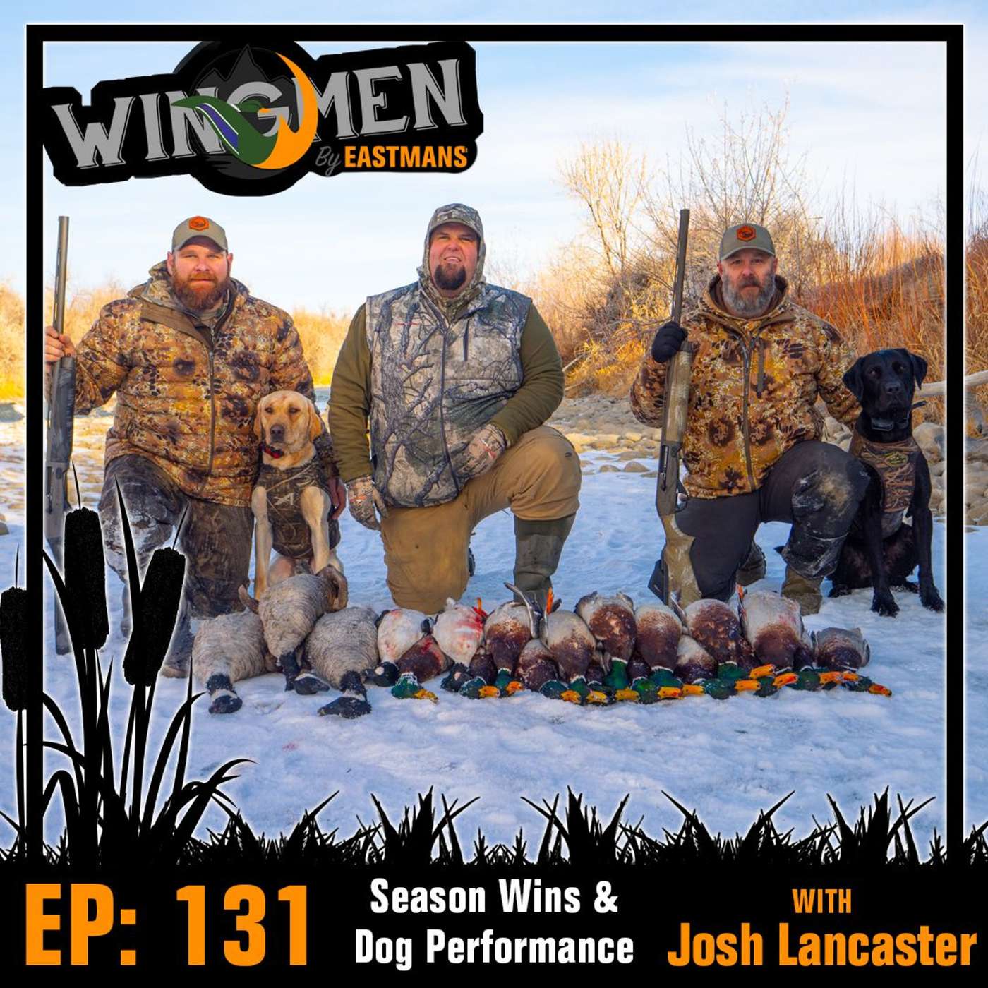 Wingmen EP 131: Season Wins & Dog Performance episode artwork