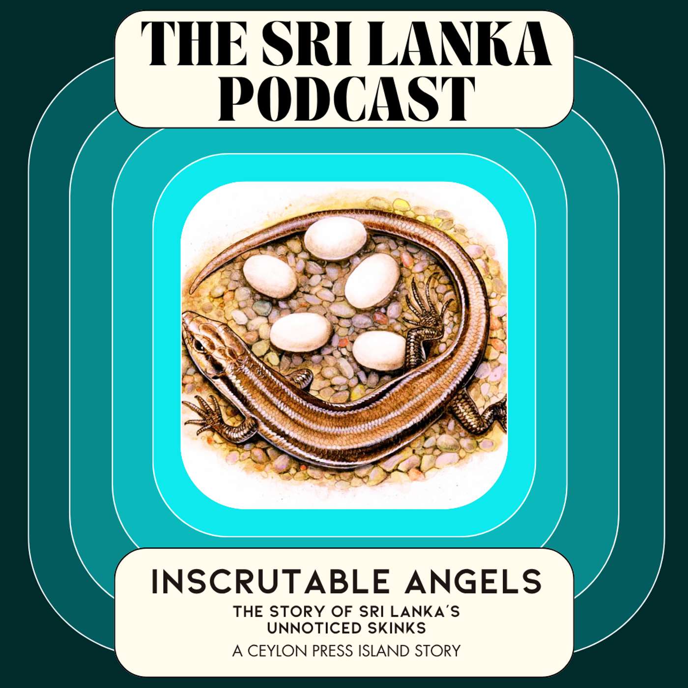 Inscrutable Angels: The Story of Sri Lanka’s Unnoticed Skinks. A Ceylon Press Island Story episode artwork
