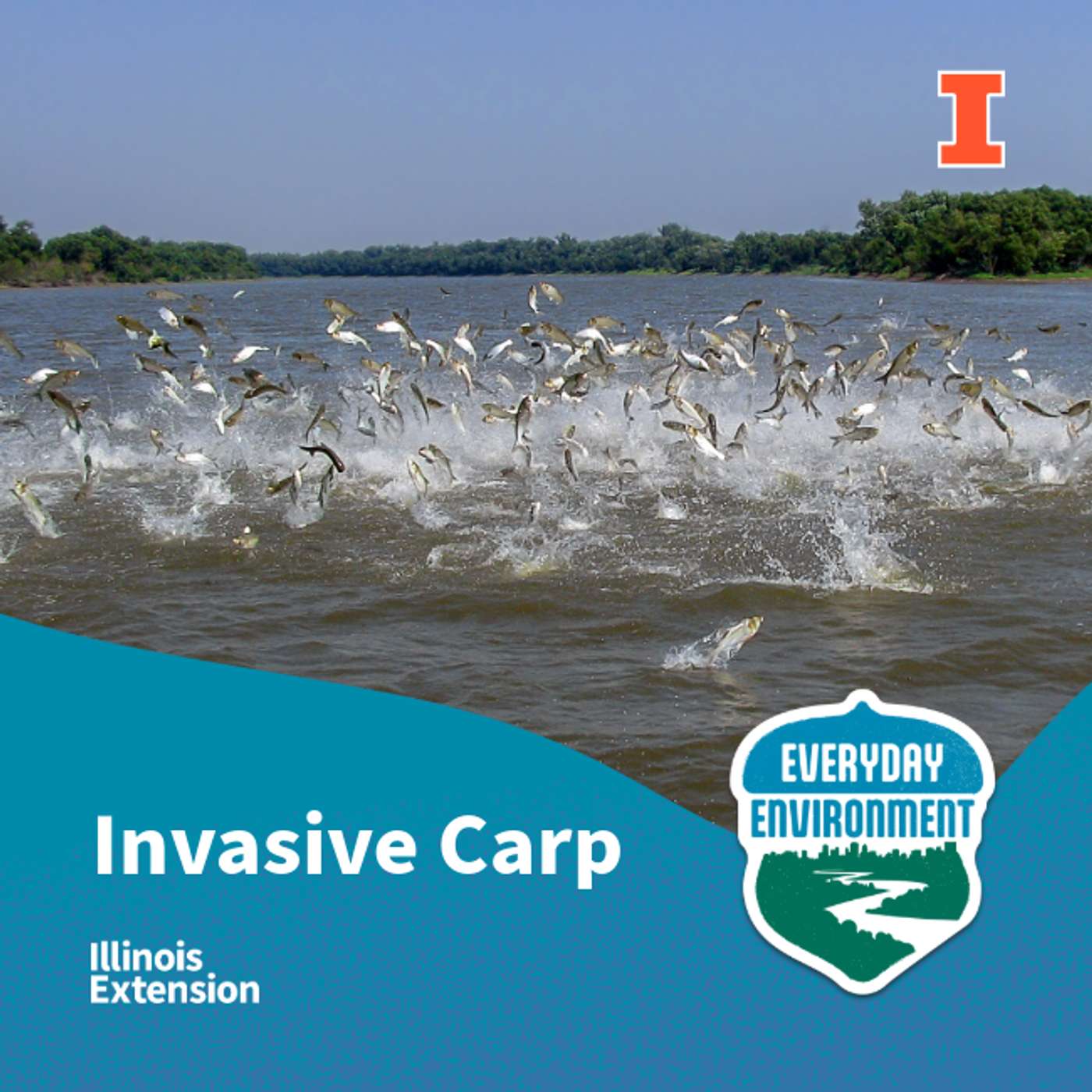 Carrying a shield against invasive carp with Steven Butler