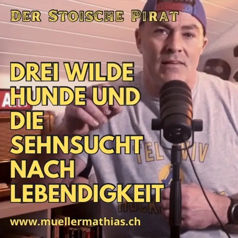 Drei wilde Hunde und die Sehnsucht nach Lebendigkeit