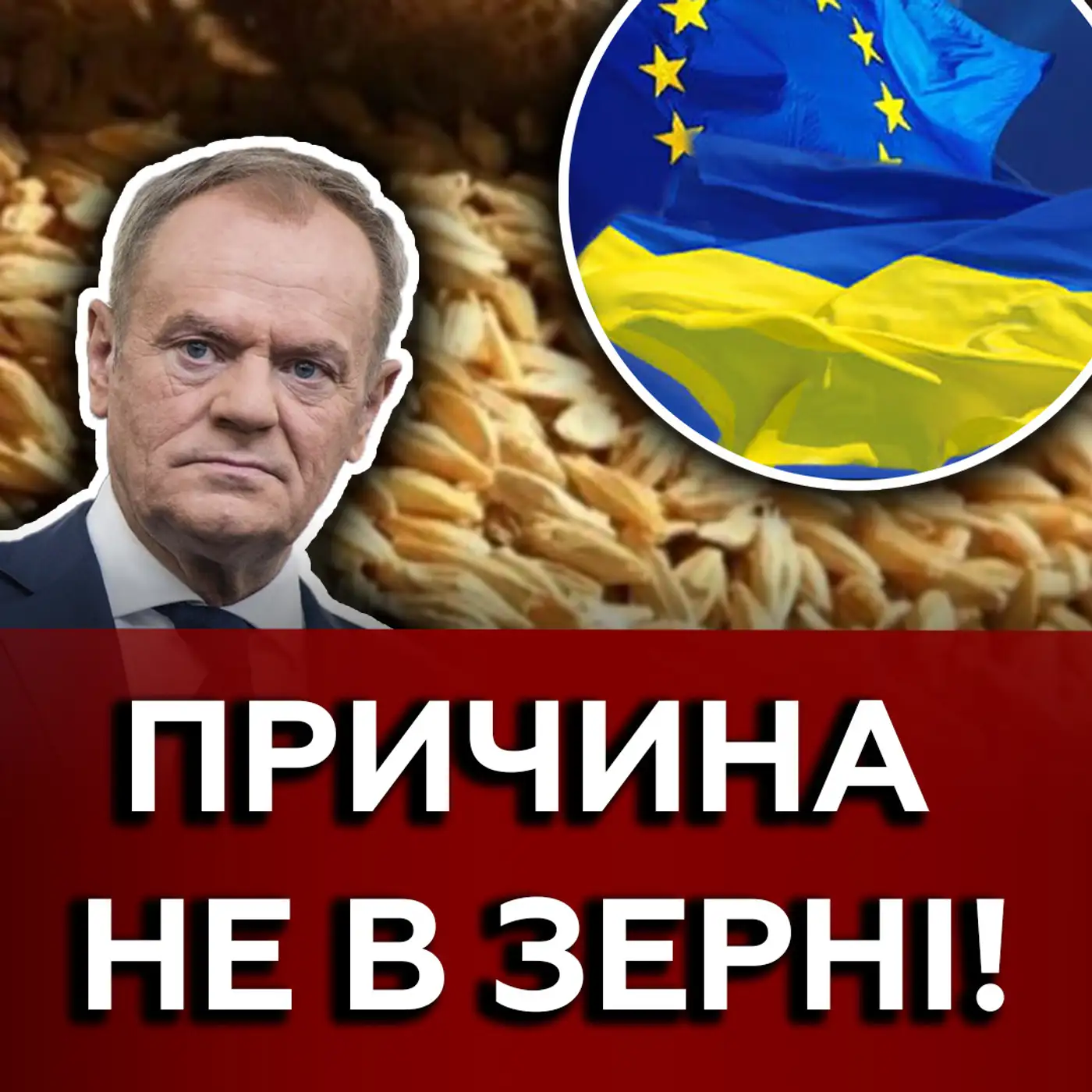 Зерно — спосіб блокувати вступ України до ЄС? Вступ в ЄС все менш можливий?