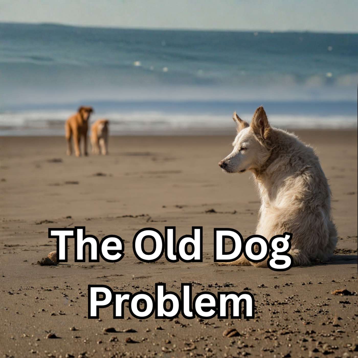 Day 209 - The Old Dog Problem episode artwork