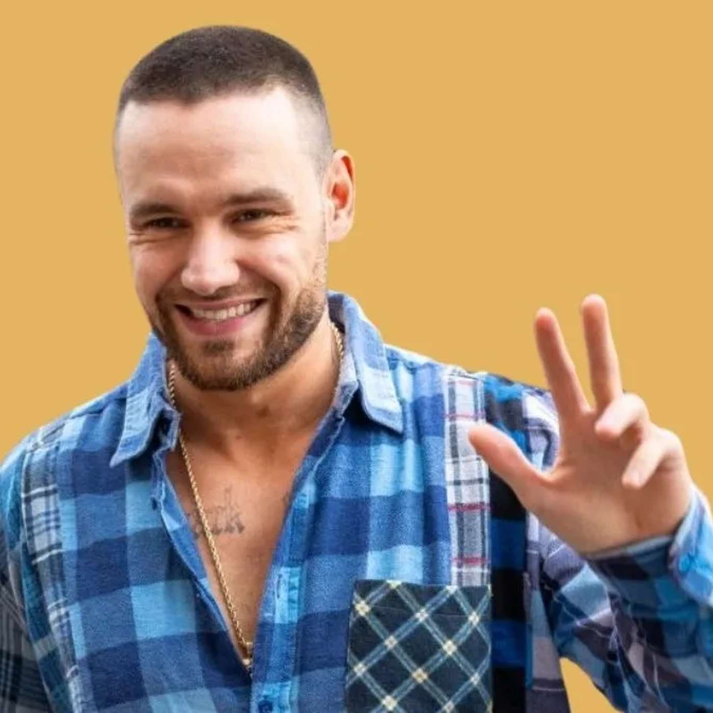 Liam Payne's Estate Sparks Tributes, Artists Demand Stronger AI Protections, Historic England Showcases Women Photographers, England Faces Summer Drought, and more... episode artwork