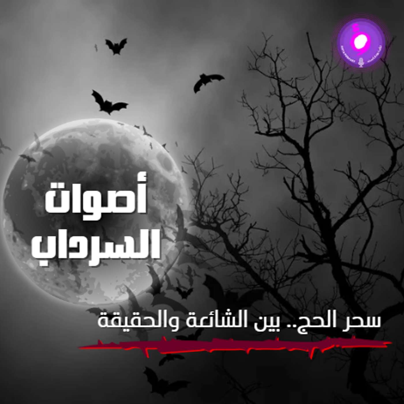 سحر الحج.. بين الشائعة والحقيقة
