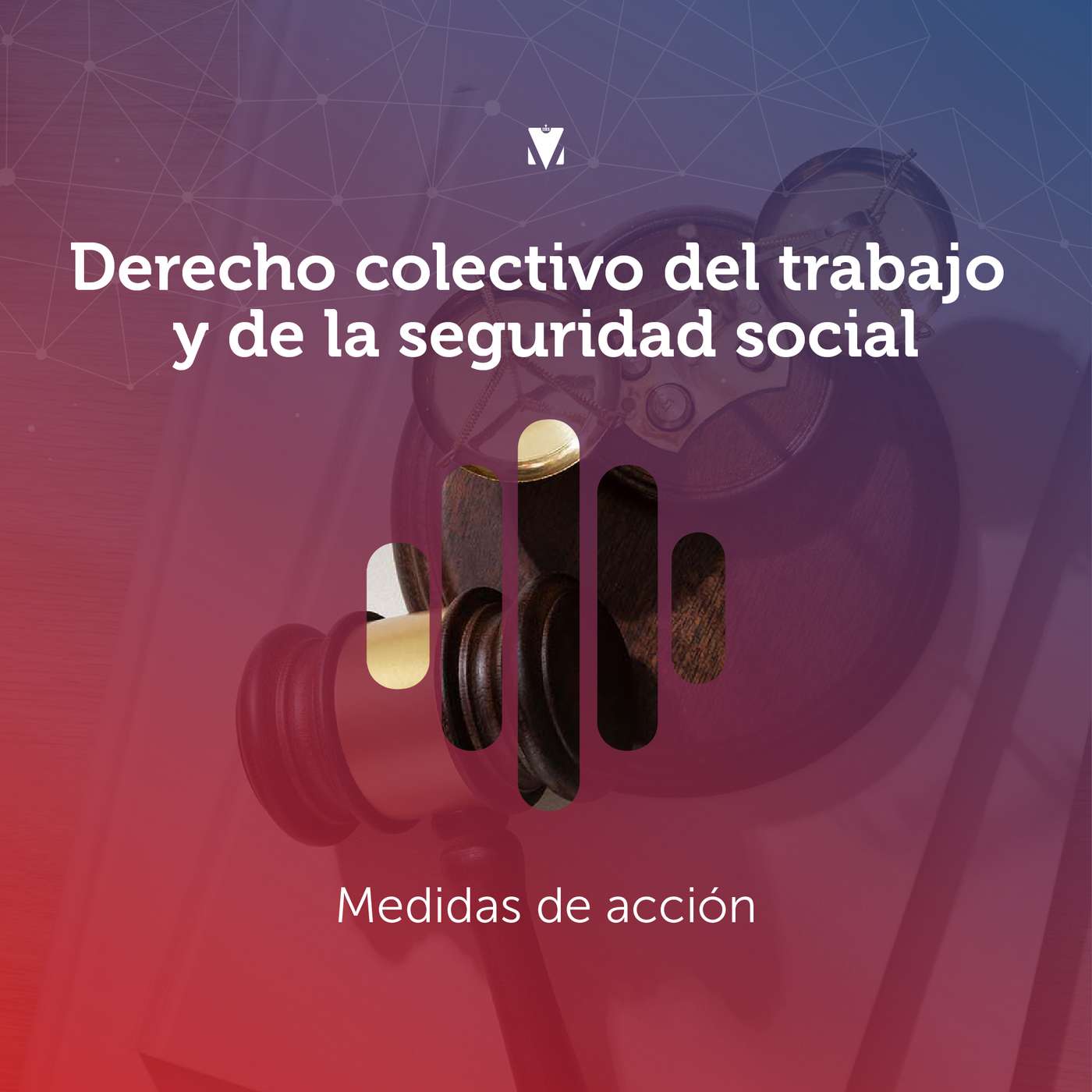 2 - DERECHO COLECTIVO DEL TRABAJO Y DE LA SEGURIDAD SOCIAL: Medidas de Acción episode artwork