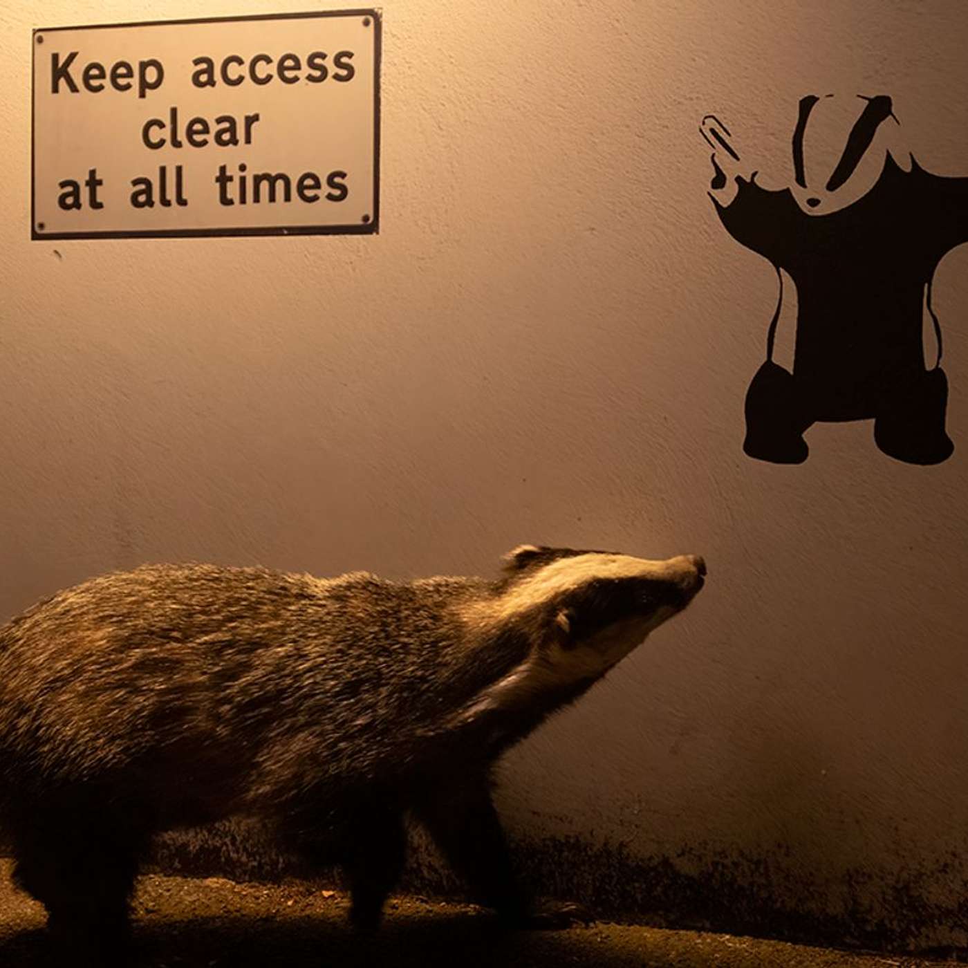 Ian Wood Wins Wildlife Award, Princess Joins Kids in Art, Carpenter Sentenced for Murder Attempt, UK Calls for Mental Health Reform, and more... episode artwork