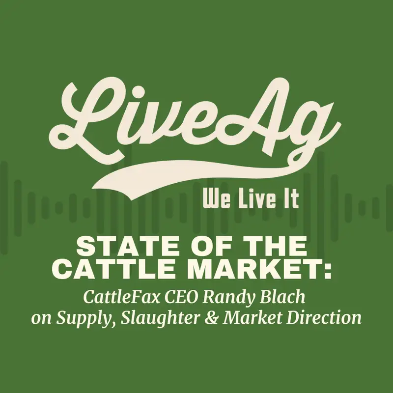 State of the Cattle Market: CattleFax CEO Randy Blach on Supply, Slaughter & Market Direction