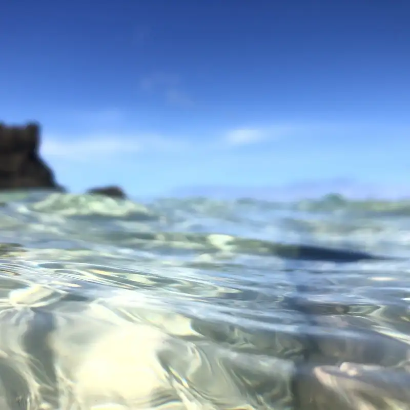 Comedy One-Liners: Sharp, Funny & Unapologetically Real