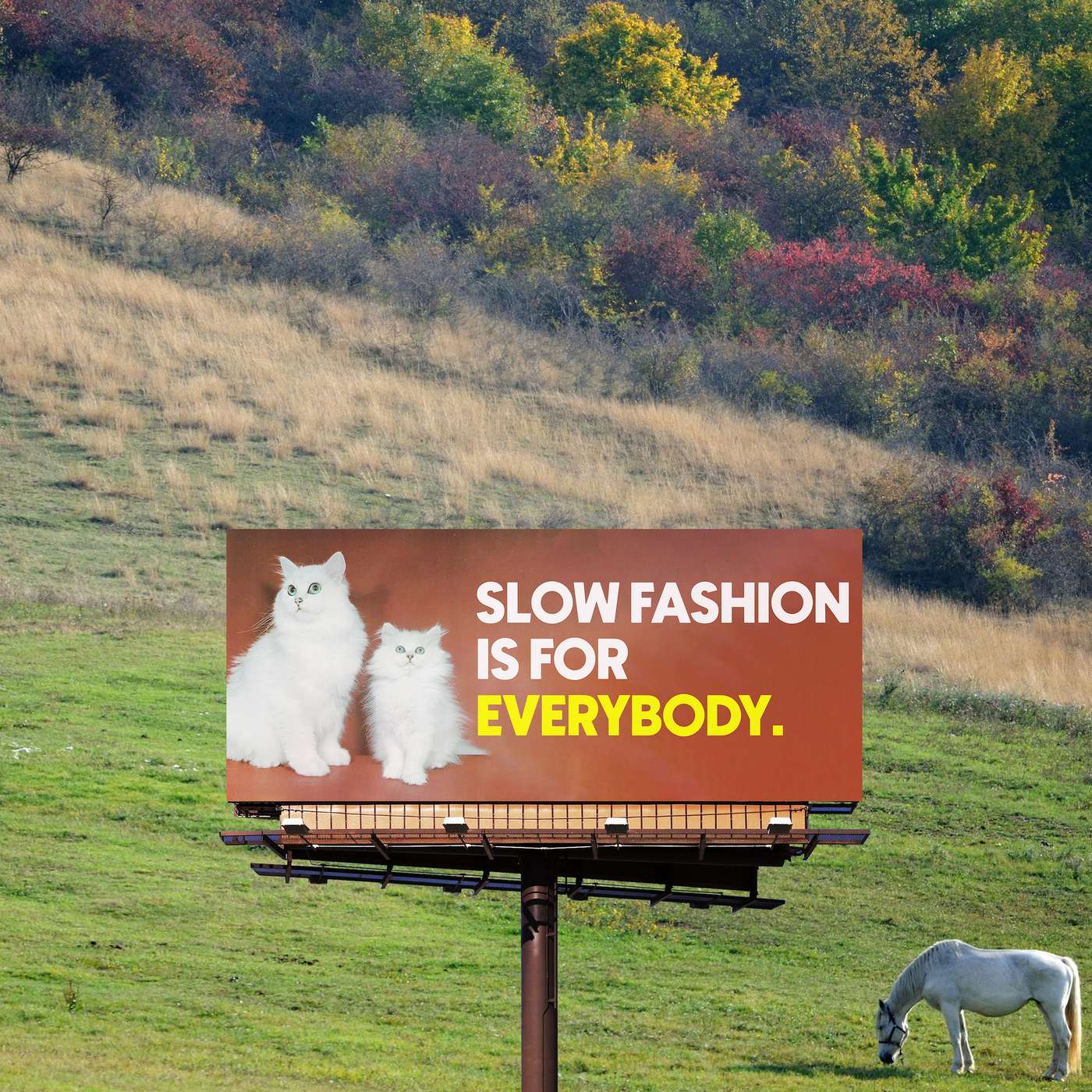 Clotheshorse with Amanda Lee McCarty