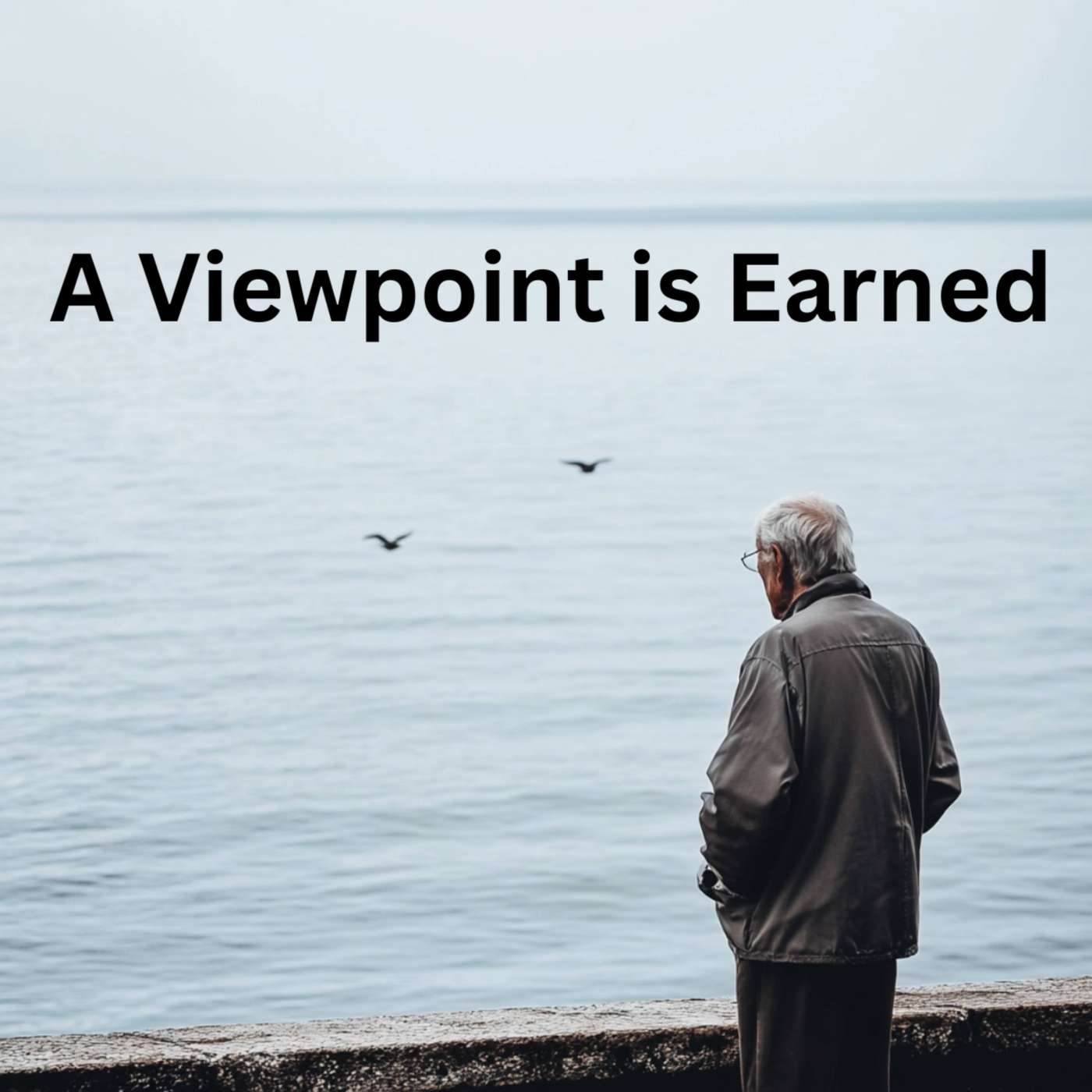 Day 107 - A Viewpoint is Earned episode artwork