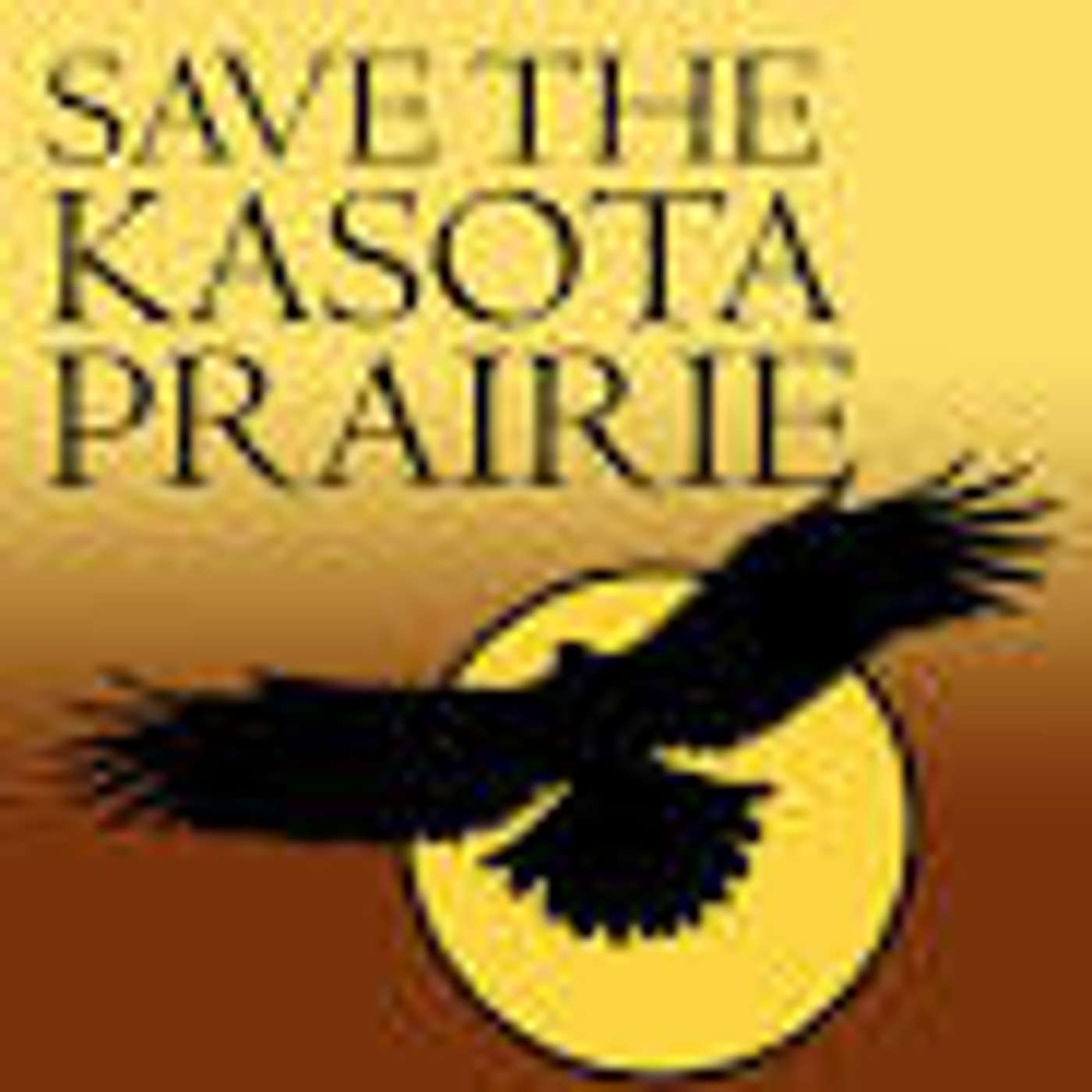 Why We Need to Save Minnesota's Declining Prairies 07-09-2026 episode artwork