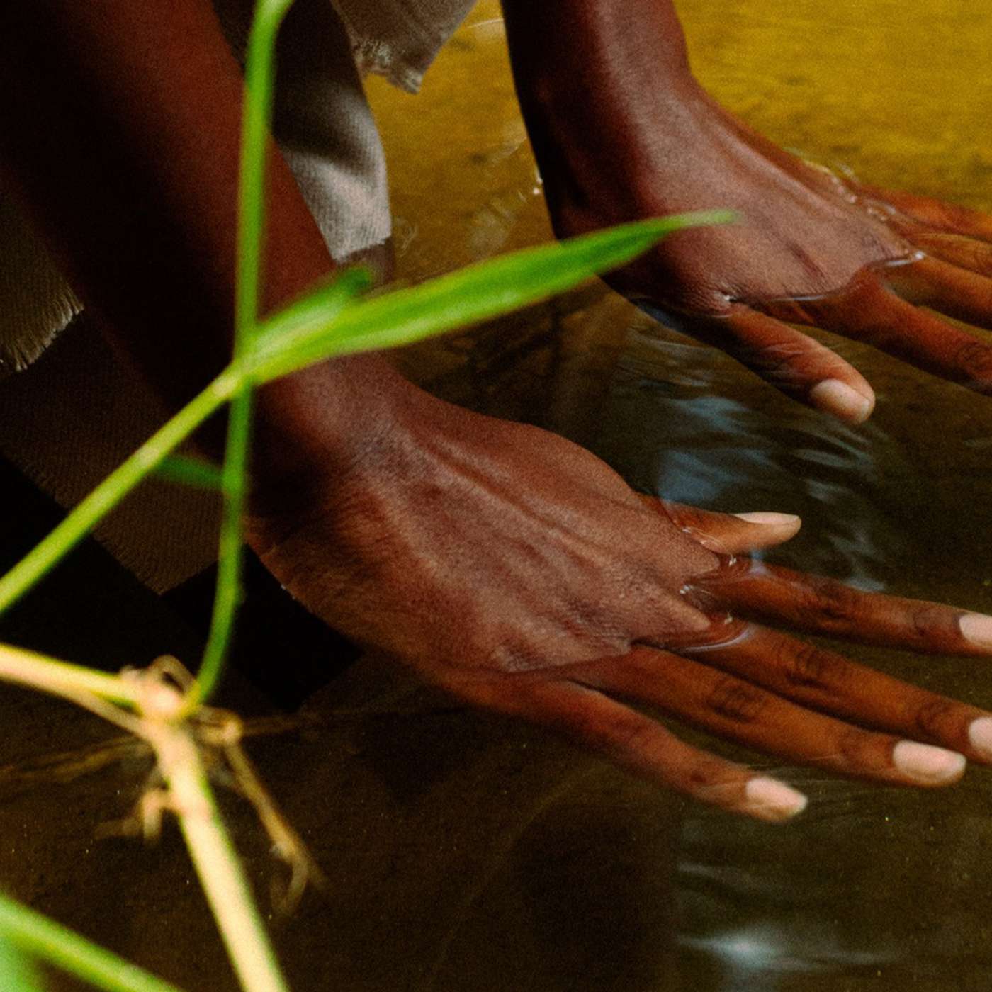 The Black Studies Podcast