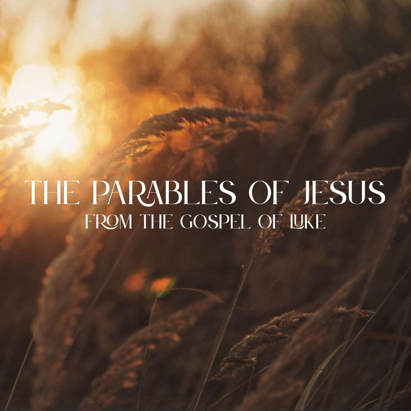 Parables: Wise and Foolish Builders | August 17, 2025 Parables: Wise and Foolish Builders | August 17, 2025