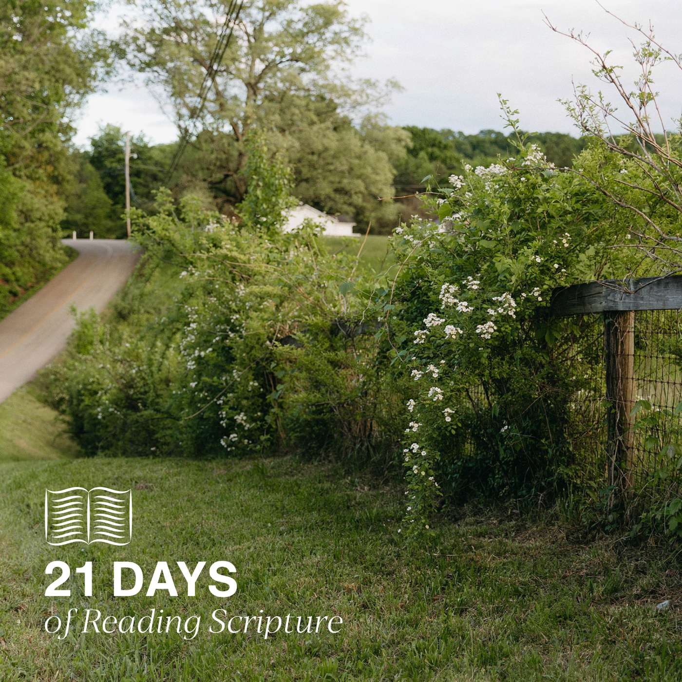 21 Days of Reading Scripture Day Nine | Ephesians 3:7-13 episode artwork