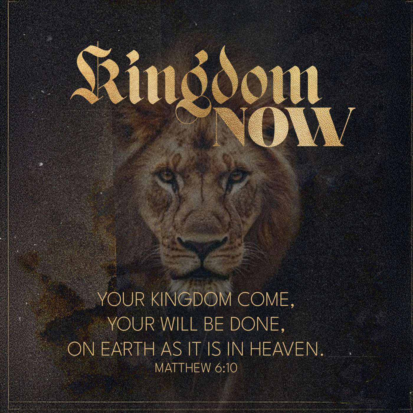 Matthew 10:26-42 | Kingdom Now: The Cost of Loyalty (with Michael Rondon)