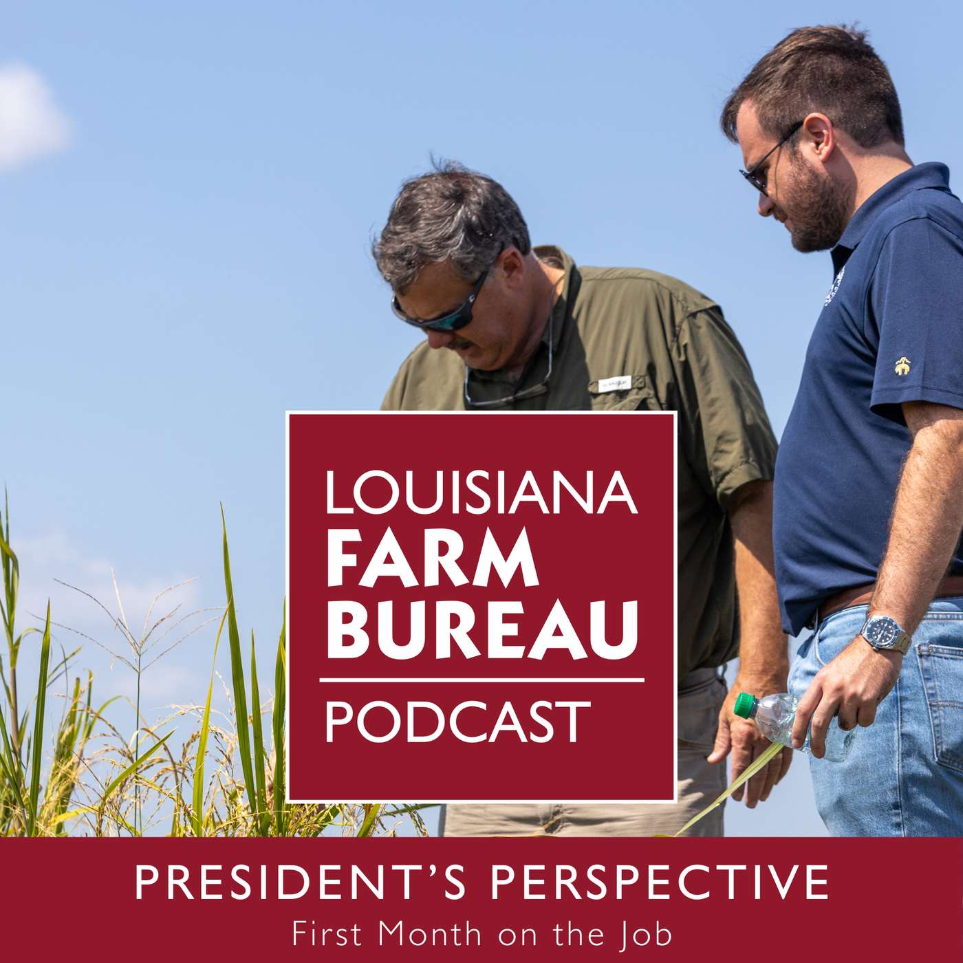 President's Perspective: First Month On The Job episode artwork