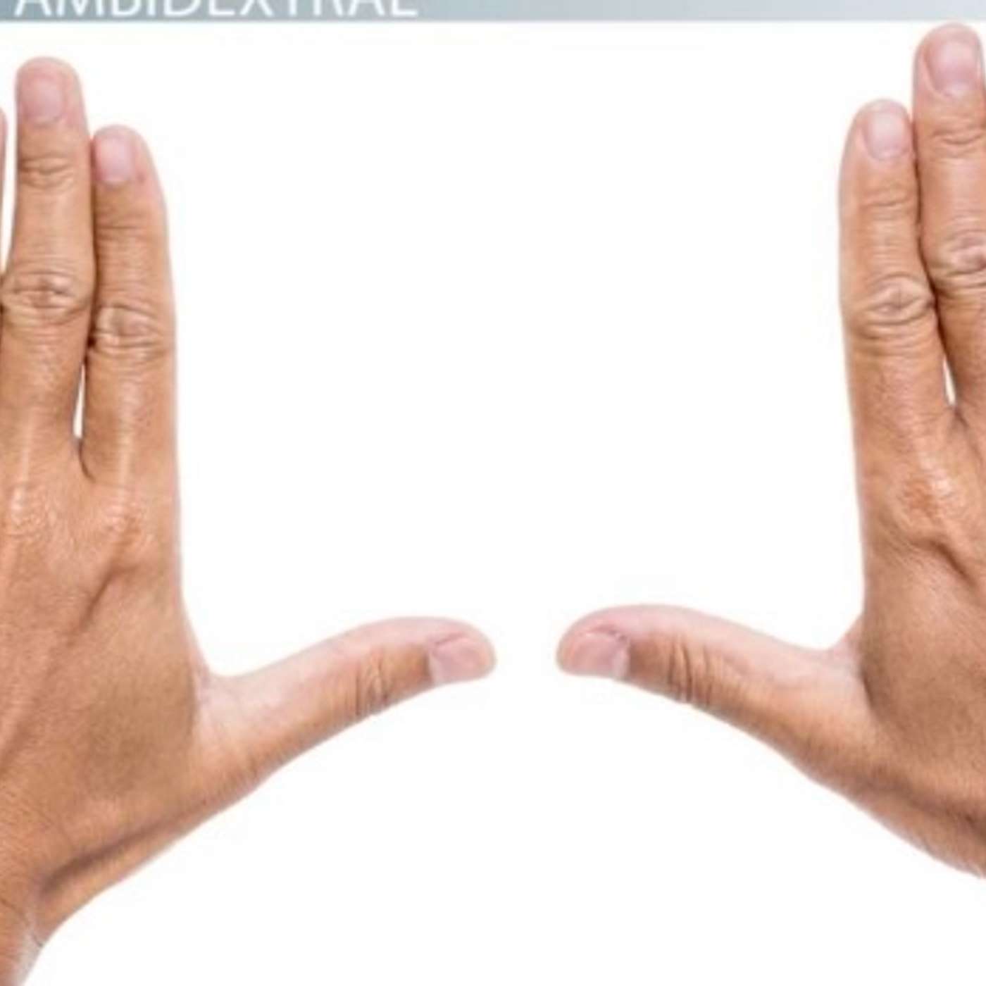 Which arm does an ambidextrous person put Tefillin on ?