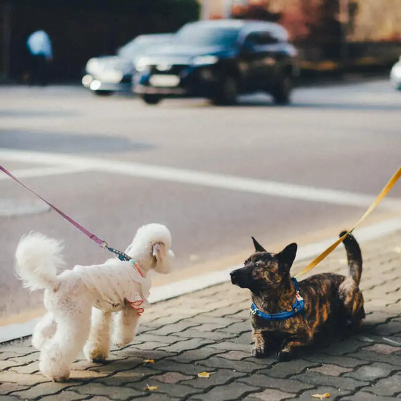 Você trava quando tenta falar inglês?