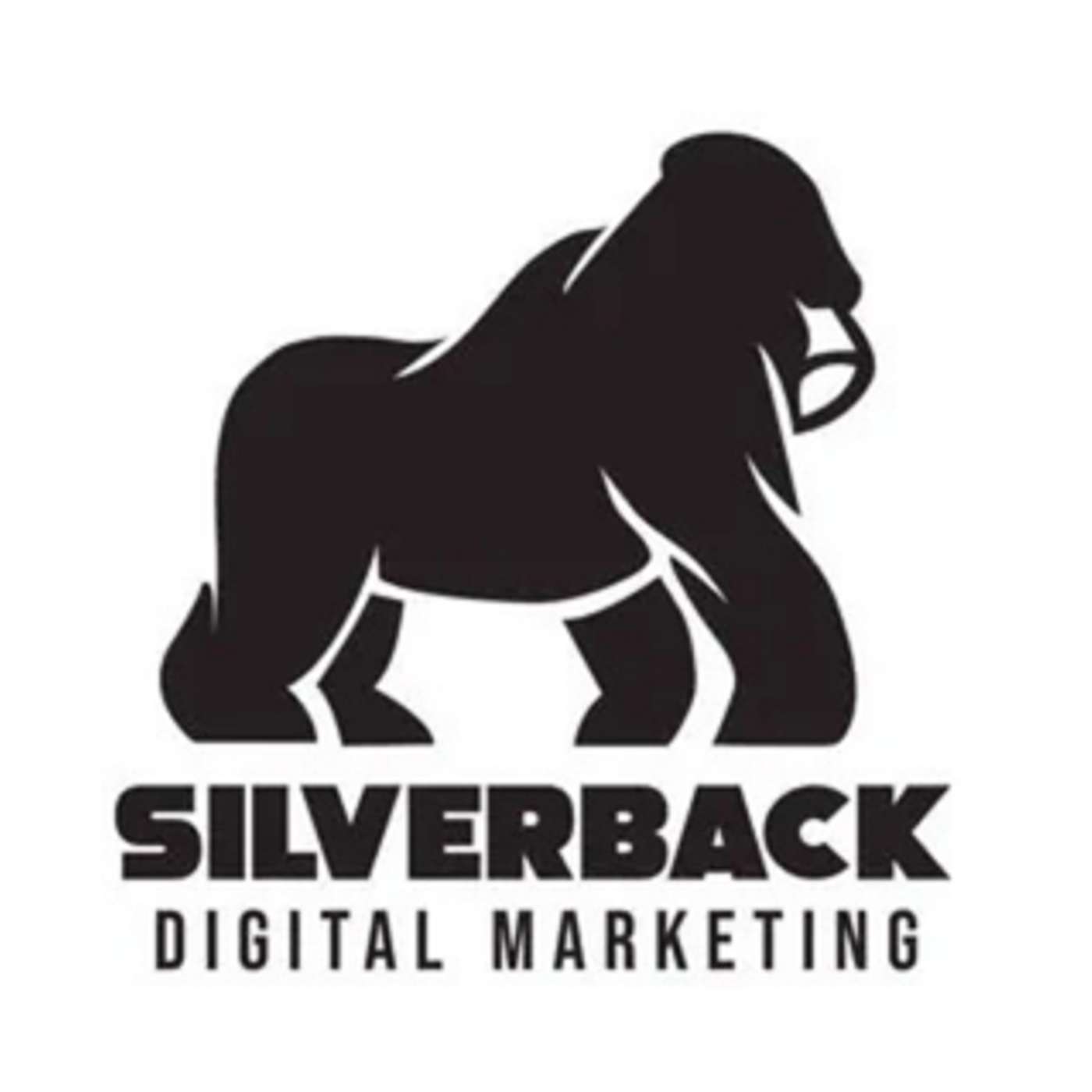 SilverBack Digital Marketing cover art