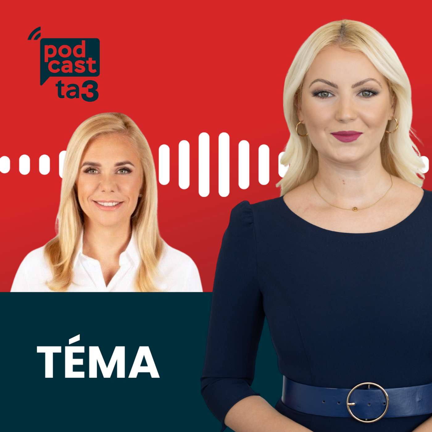 Téma: Denisa Saková - Zásoby plynu a koniec ruskej ropy