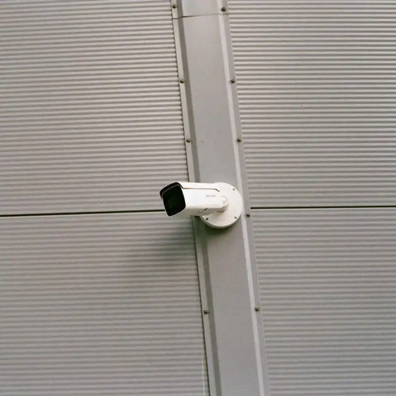 O que significa estar presente? Muito vocabulário em inglês!