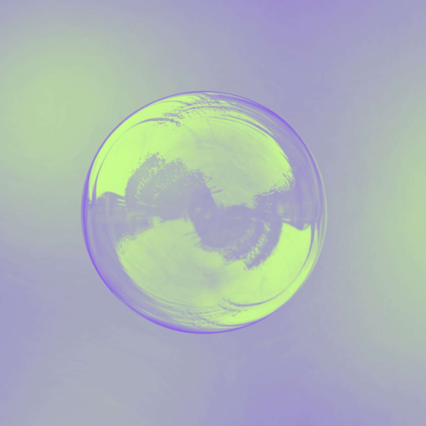 AI Bubble, Boom, or…Both? Adam and Andy Explain