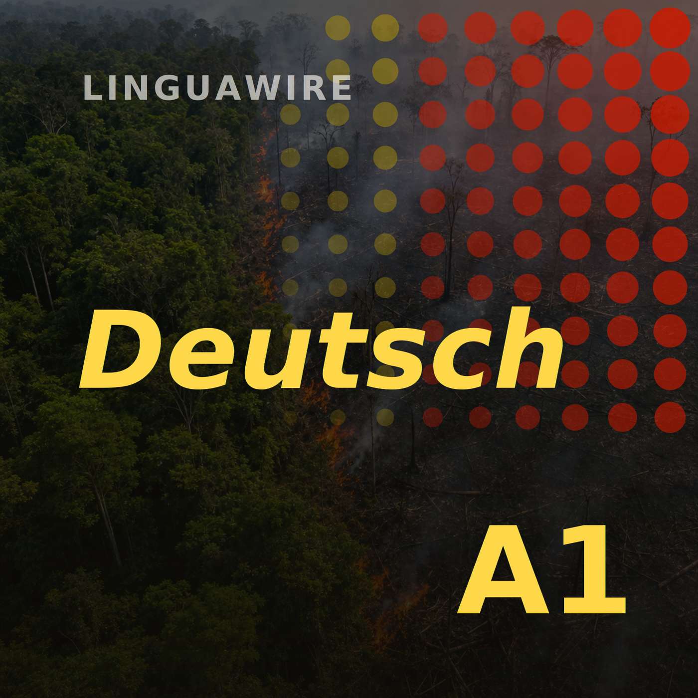 A1 German News | Brazil's Amazon Burns Far Less in 2025