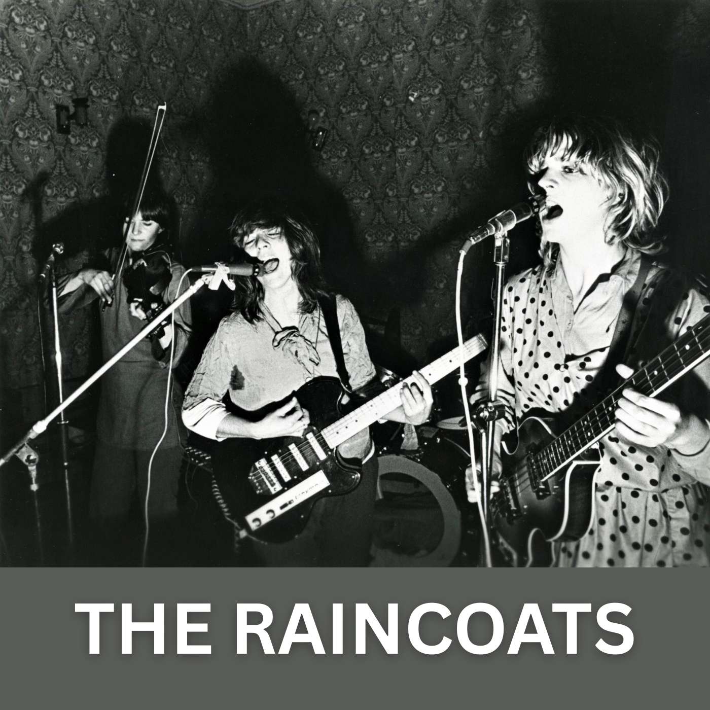 The Raincoats - Storming the Social Conscience
