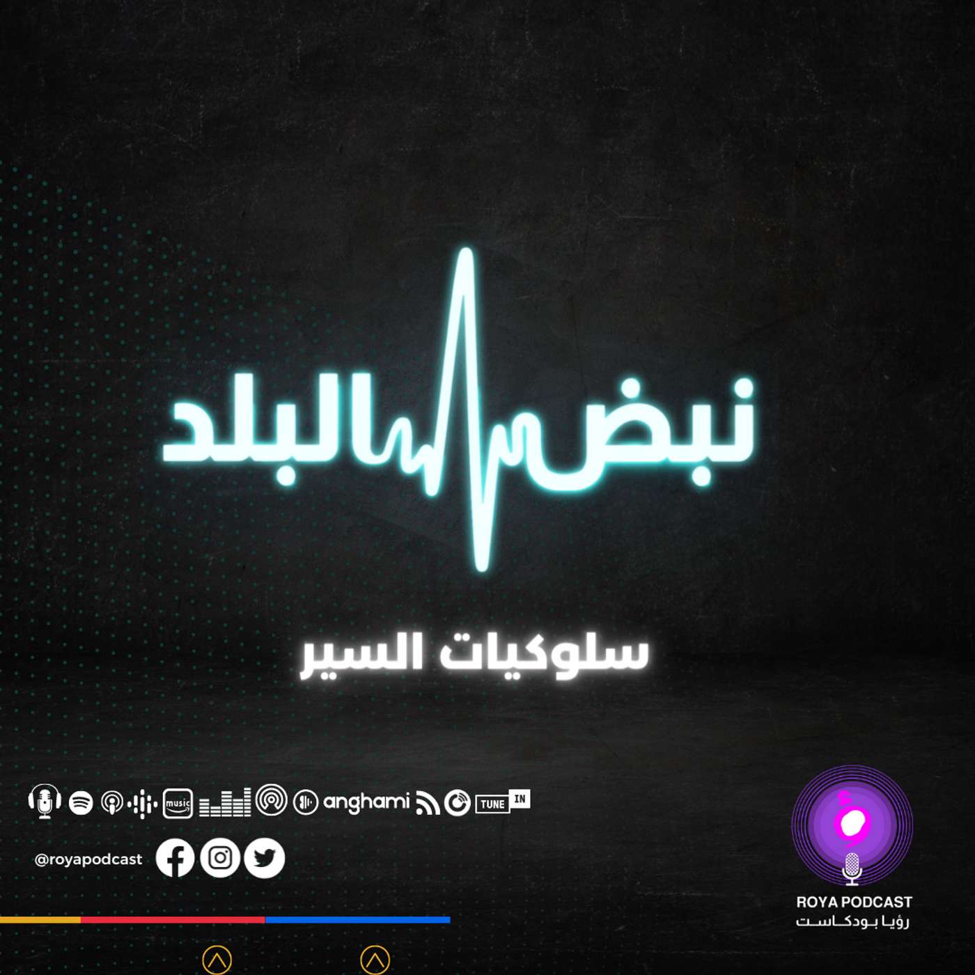 سلوكيات السير