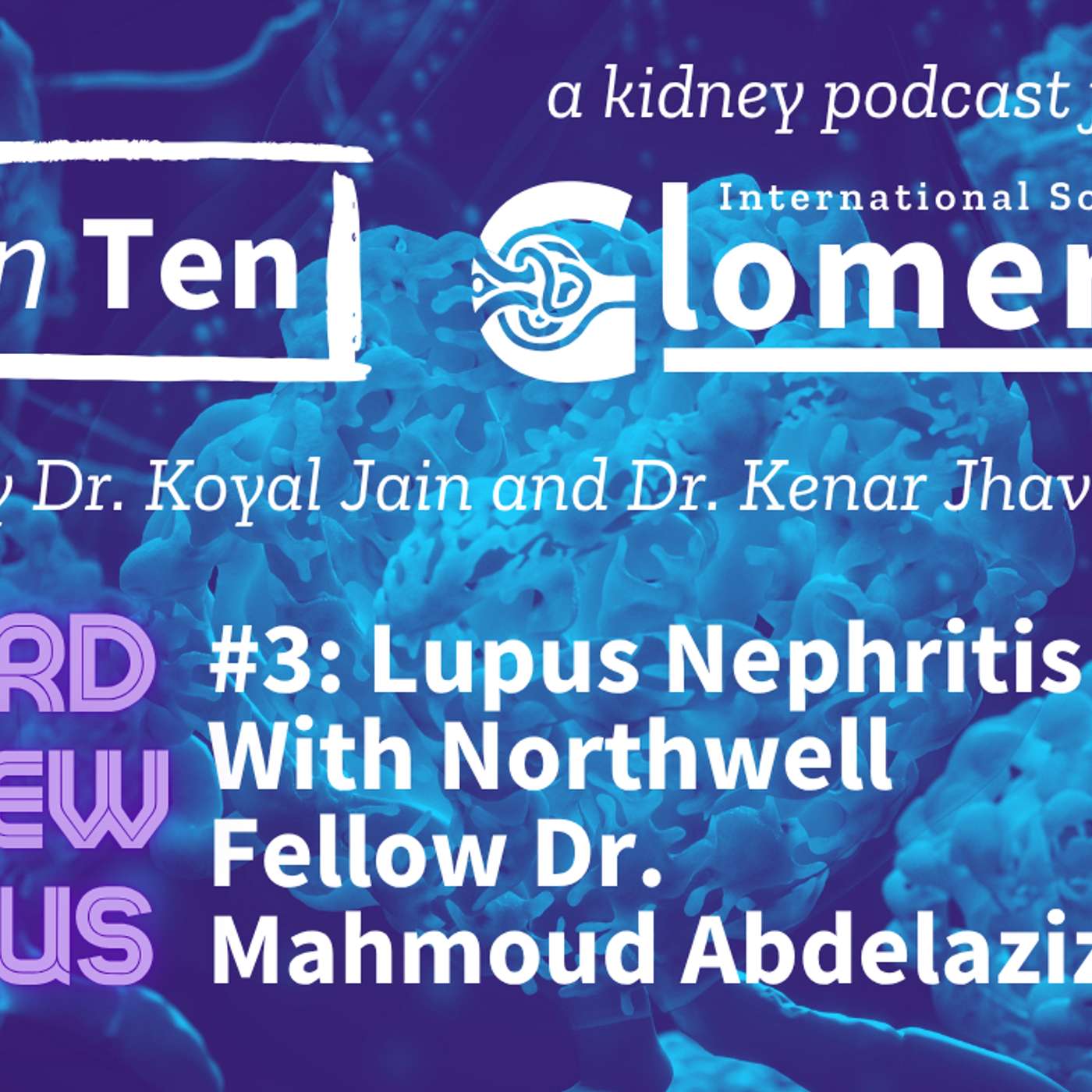 Board Review Bonus #3: Lupus Nephritis