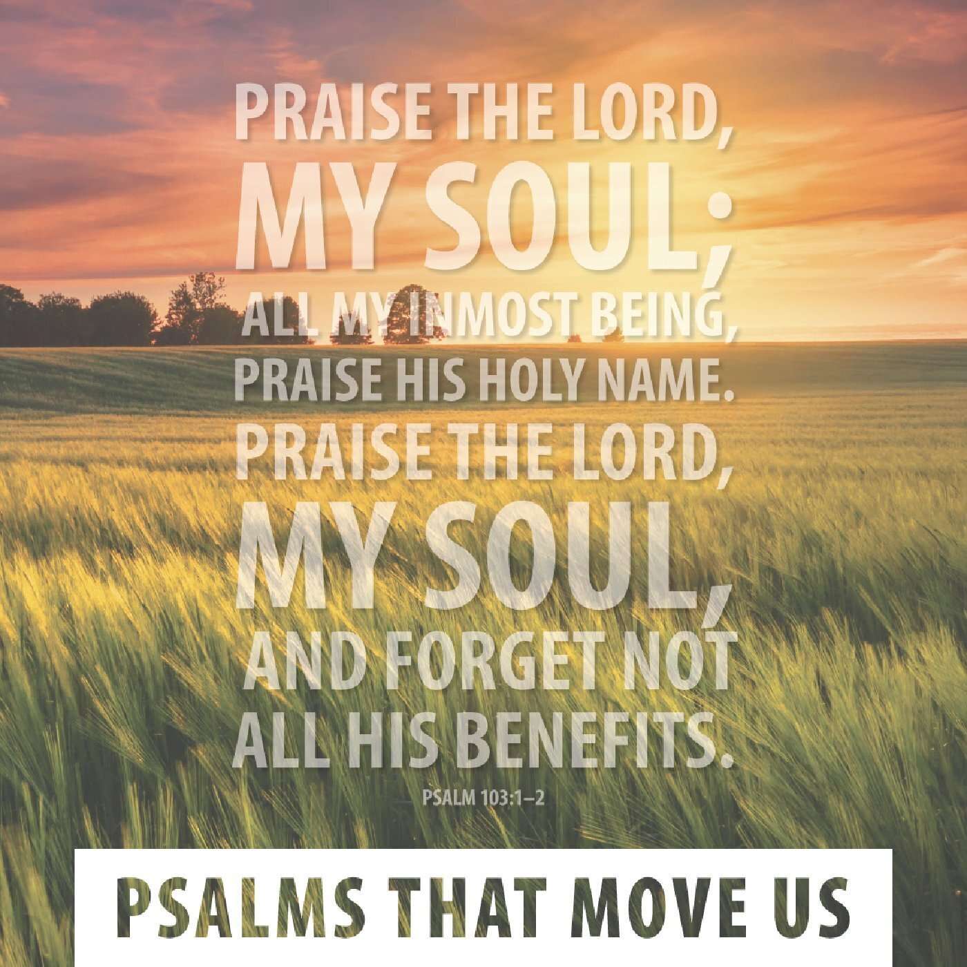 Wheaton Bible Church