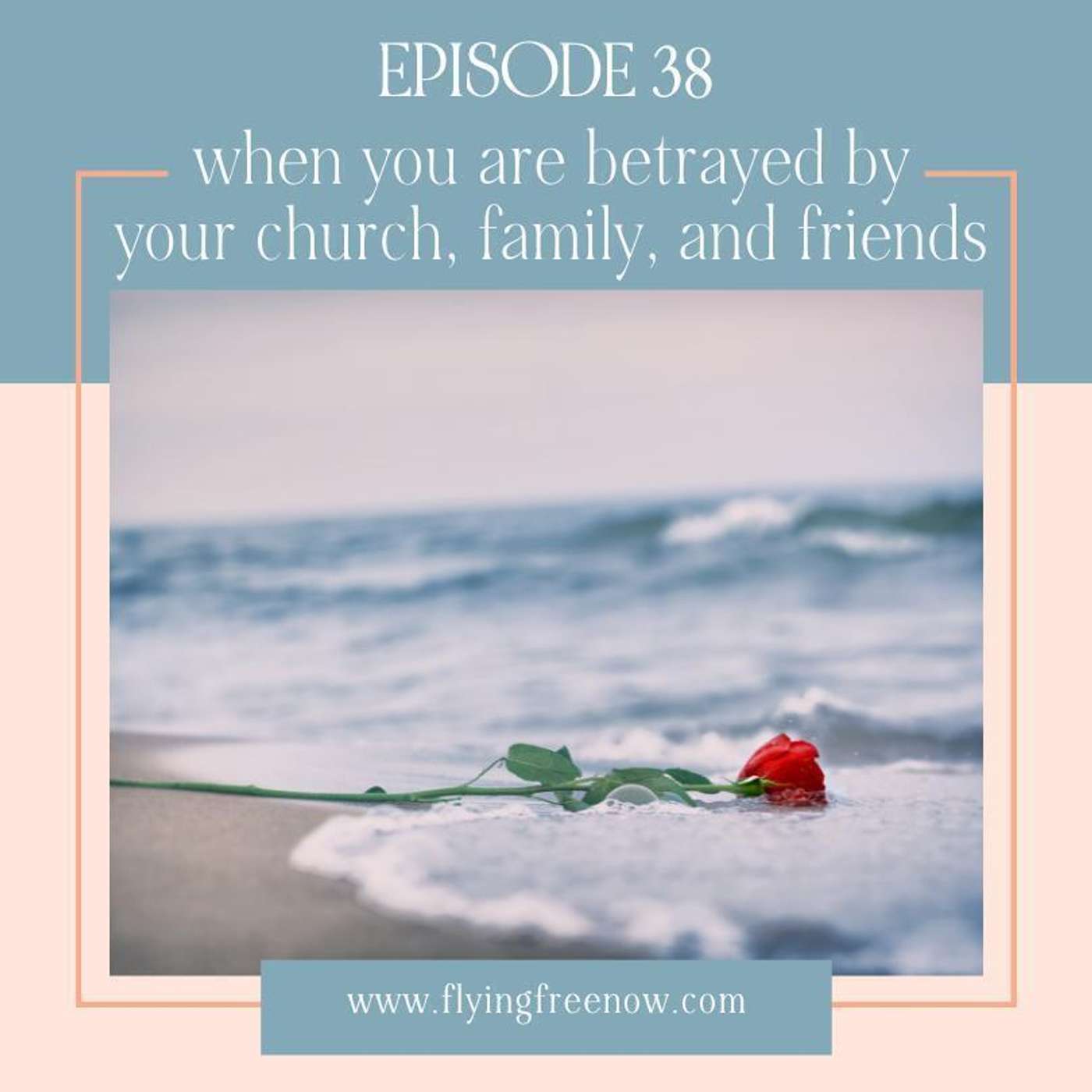 When You Are Betrayed by Your Church, Family, and Friends [38]