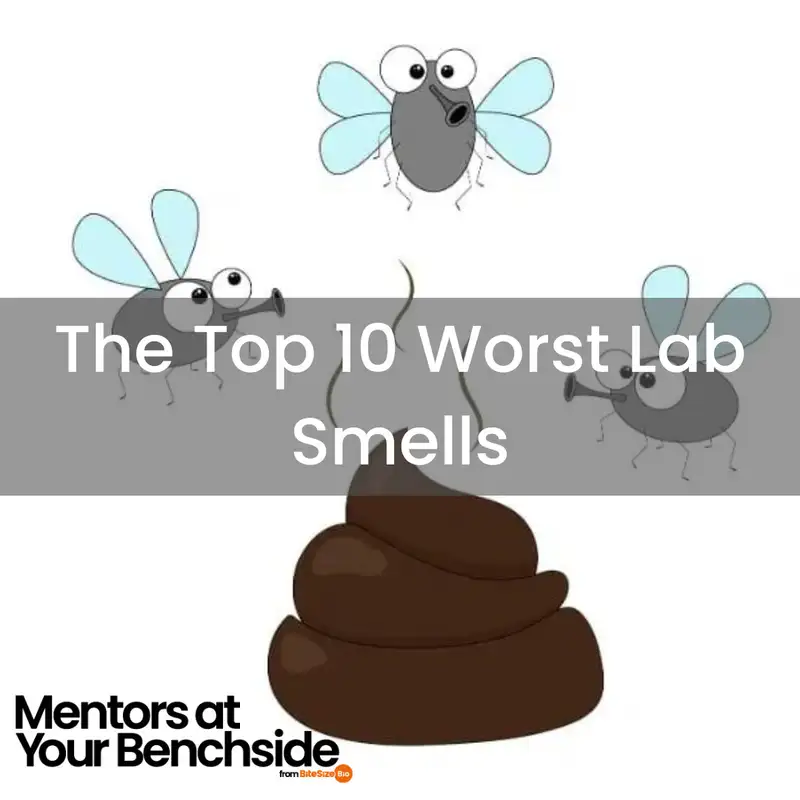 Top 10 Worst Lab Smells