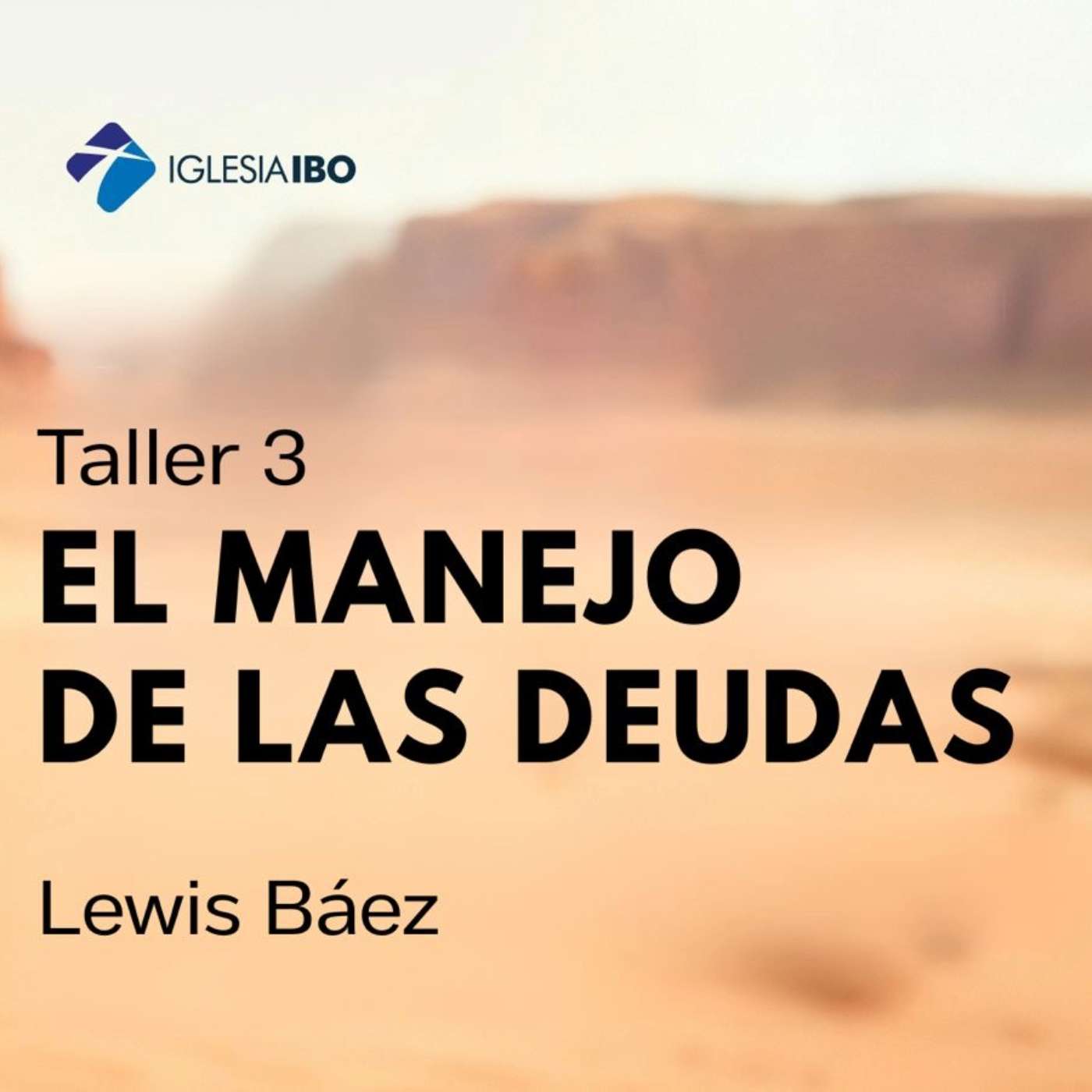 Taller 3: El manejo de las deudas