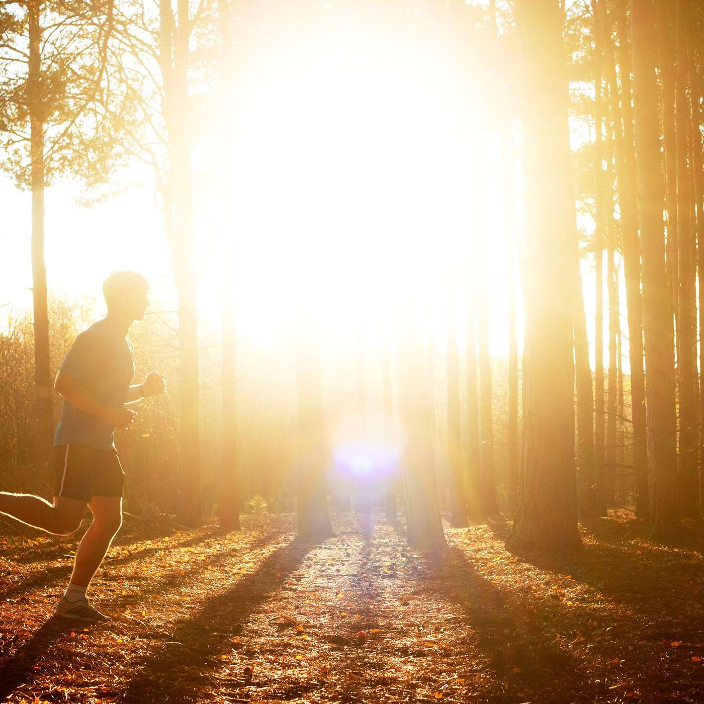 I tested whether cannabis really can boost the runner’s high