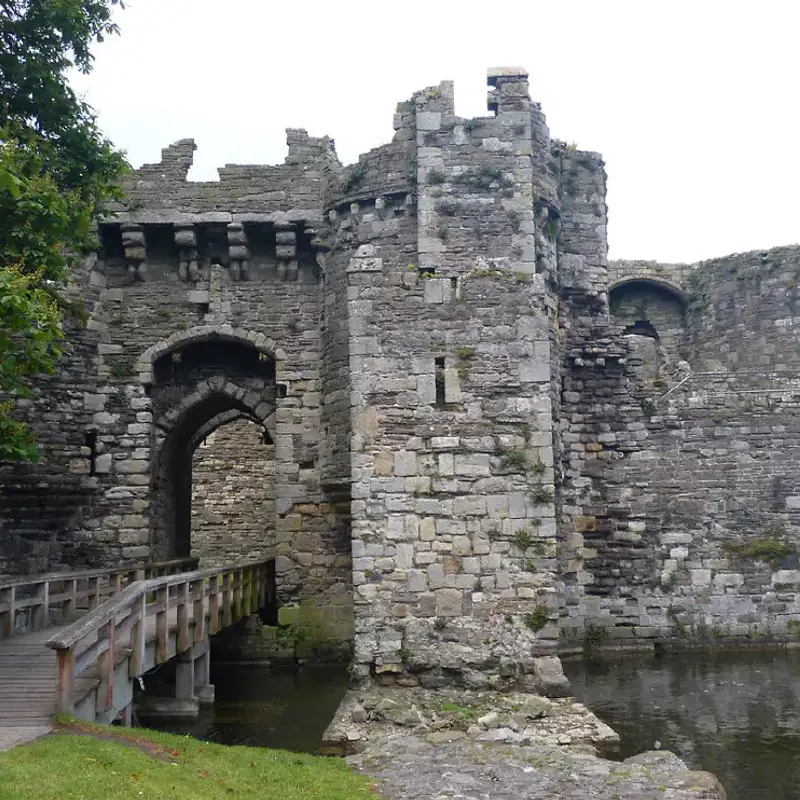 The Castle And The Cake