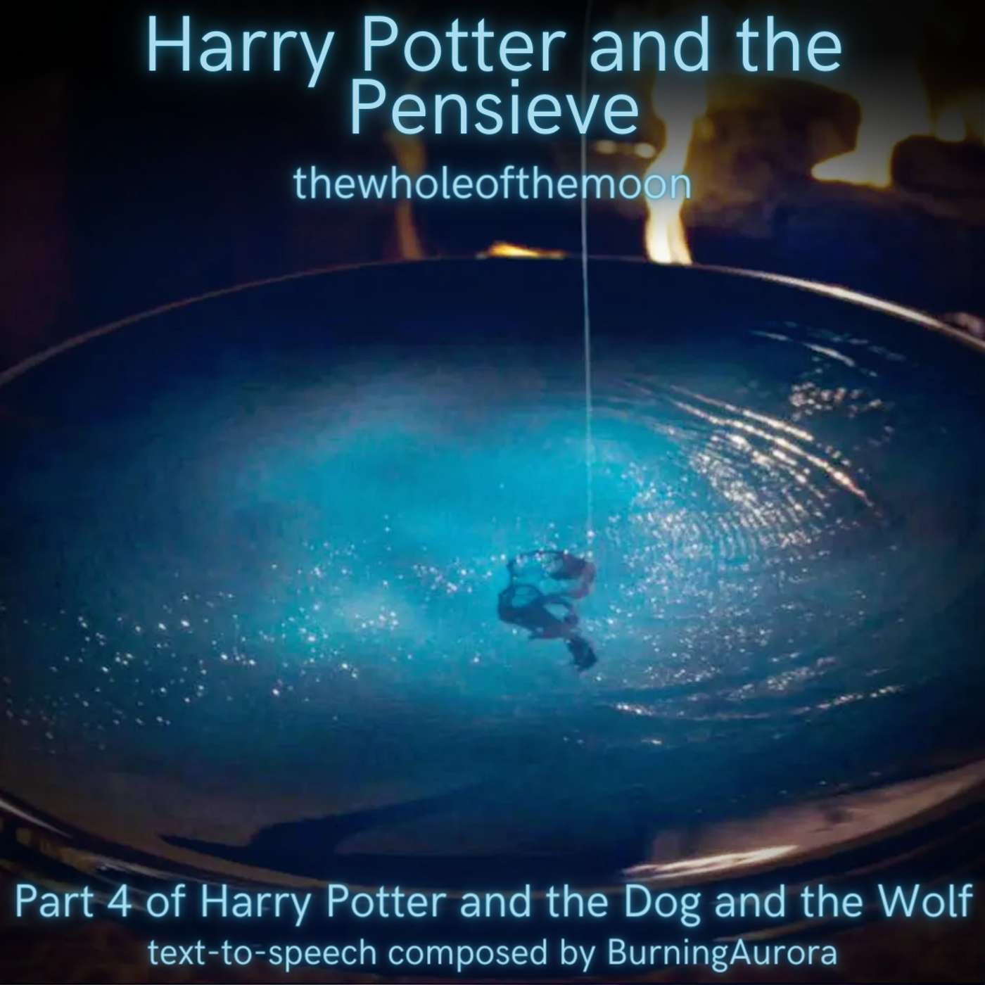 Harry Potter and the Pensieve: Part 1 by thewholeofthemoon | Harry Potter and the Dog and the Wolf: Part 4