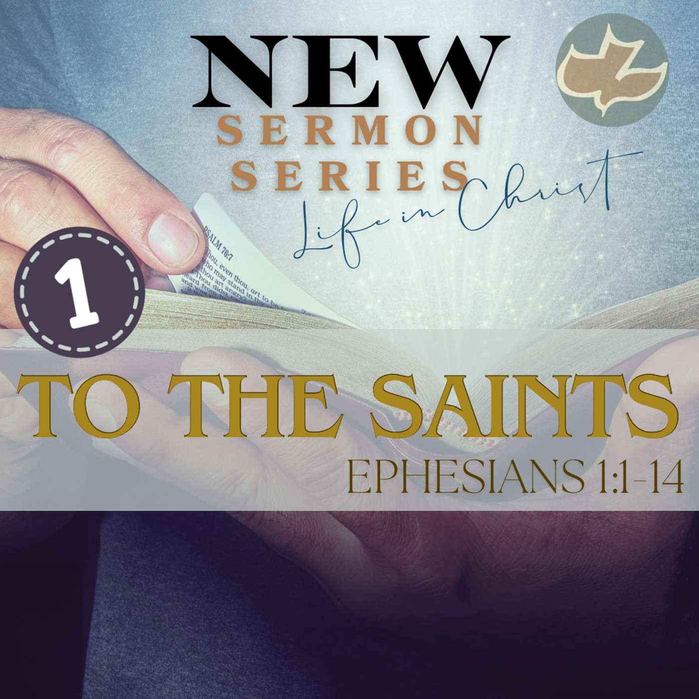 To The Saints