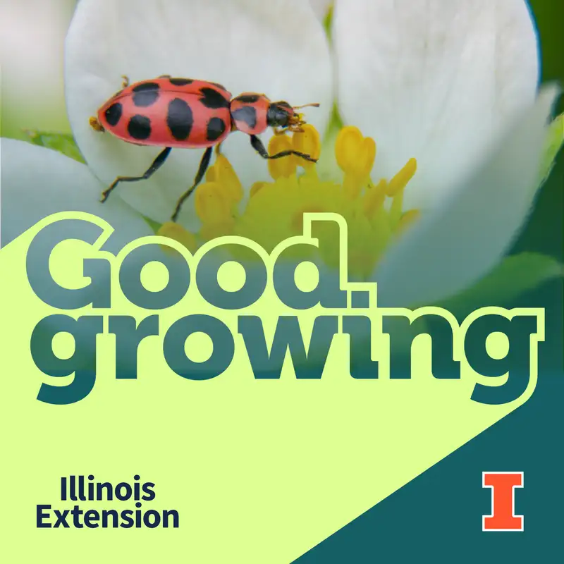 Good Growing