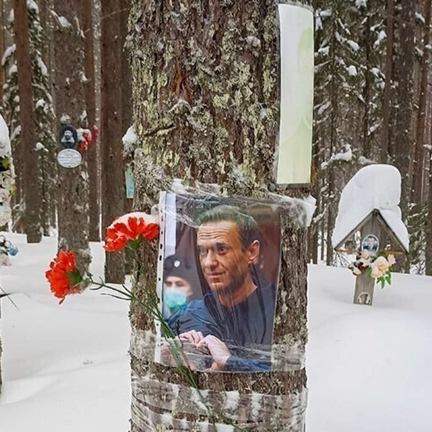 Убитые надежды, мысли о суициде. Как противники путинского режима в России восприняли гибель Алексея Навального