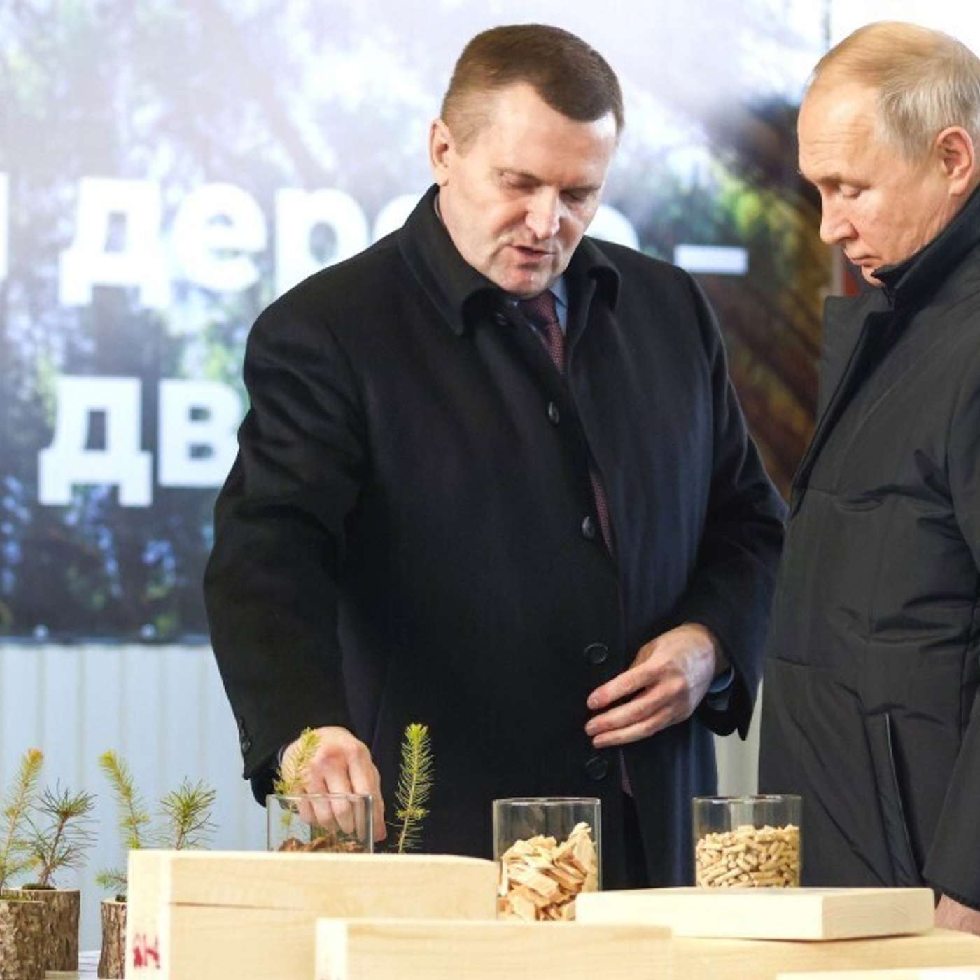 Сбежать на природу. Путин съездил к лесному другу в Архангельскую область