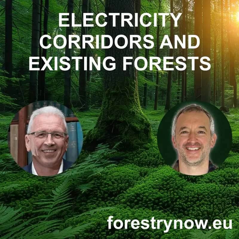 Electricity Corridors and Existing Forests with Donal Whelan