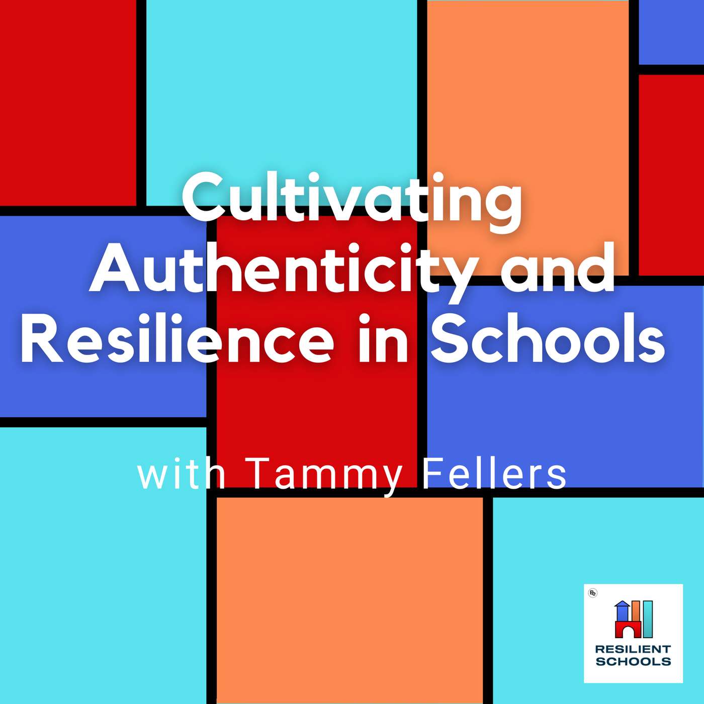 Resilient Schools
