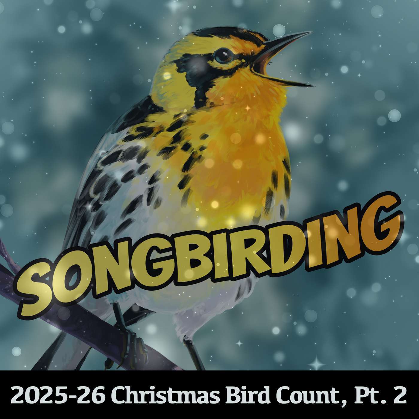 2025-26 Christmas Bird Count Special, Part 2 episode artwork