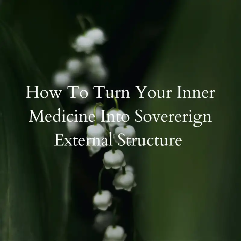 23. How To Turn Your Inner Medicine Into Sovererign External Structure 