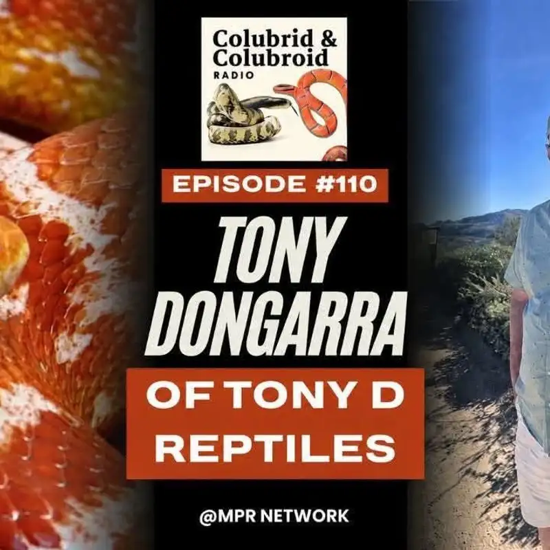 Tony Dongarra of Tony D Reptiles