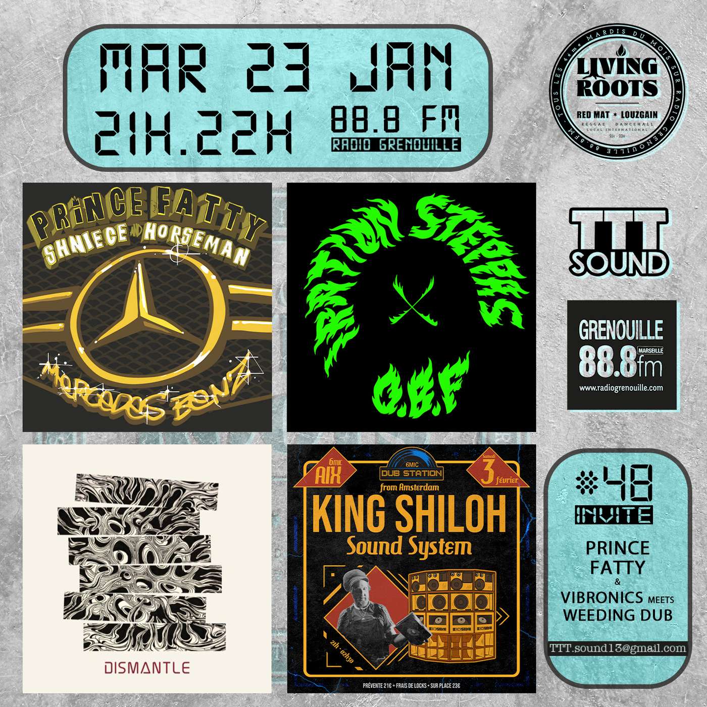 Living Roots #48 | Prince Fatty / Vibronics & Weeding dub episode artwork