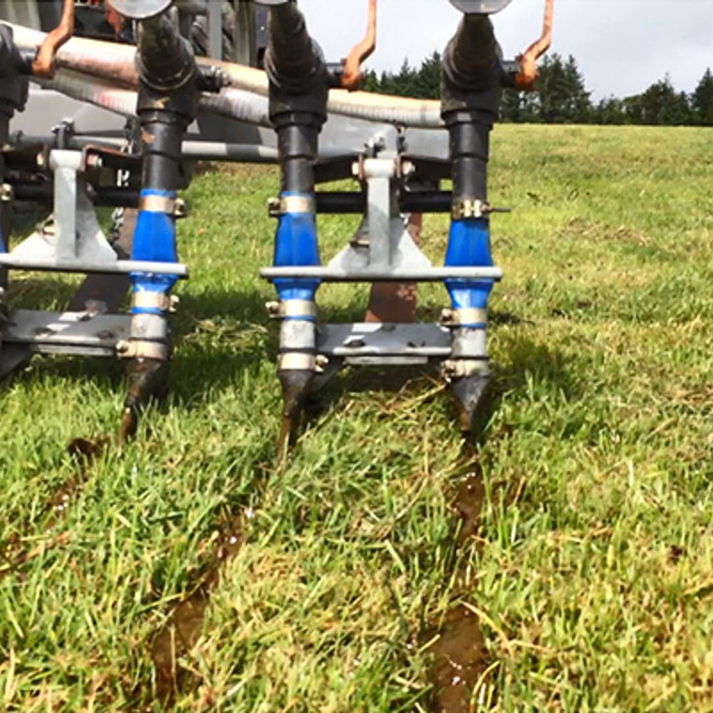 How to maximise the value of slurry